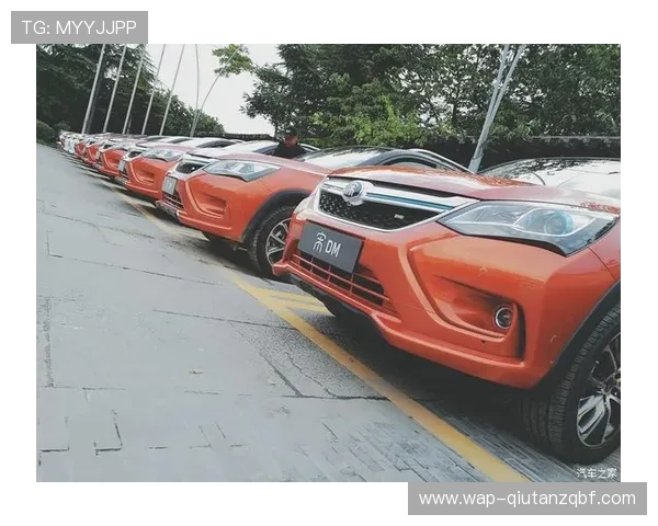 风驰直播官方旗舰店全新上线，给你带来更优质的直播体验和服务