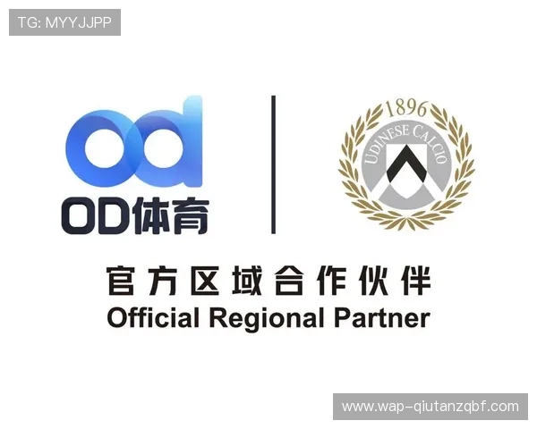 od体育官网登录入口安全性分析，保障用户个人信息与资金安全的最佳实践