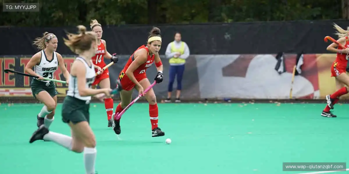 高清综合盛宴：手机体育视讯真人，娱乐升级中